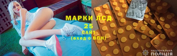 прущие грибы Гусев