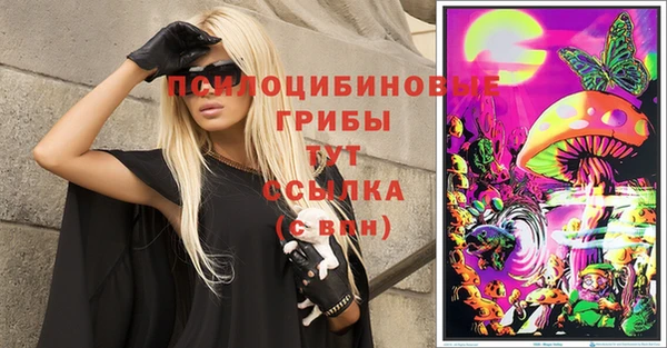 прущие грибы Семикаракорск