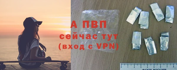 шишки Гусь-Хрустальный