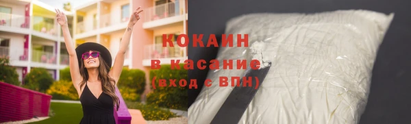 прущие грибы Семикаракорск