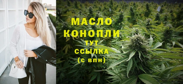 прущие грибы Гусев