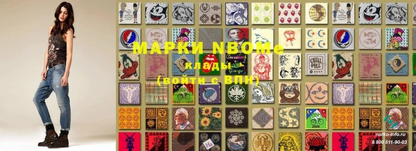 шишки Гусь-Хрустальный