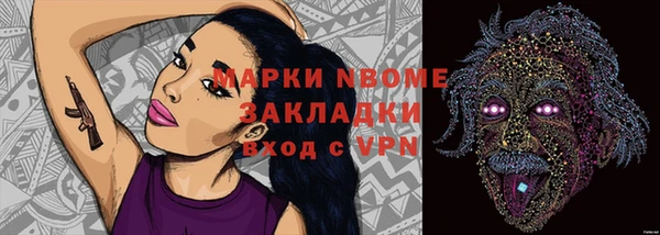 прущие грибы Семикаракорск
