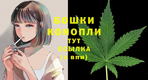 spice Гусиноозёрск