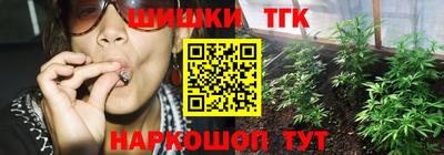 гашик Бийск