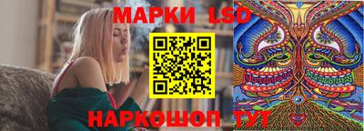 МДПВ Волгодонск