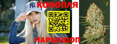 МДПВ Волгодонск