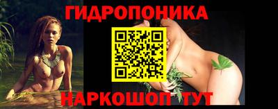 прущие грибы Беслан