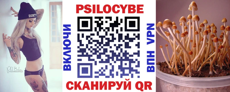 blacksprut как войти  Гусь-Хрустальный  даркнет наркотические препараты  Псилоцибиновые грибы GOLDEN TEACHER 