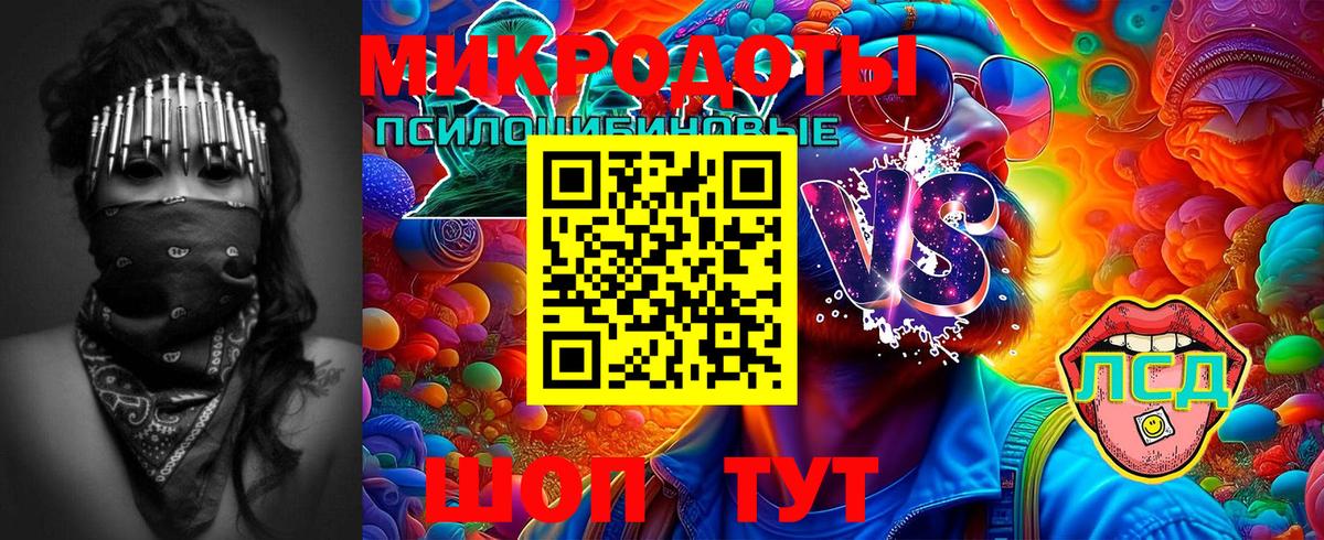Галлюциногенные грибы Psilocybine cubensis Гусь-Хрустальный