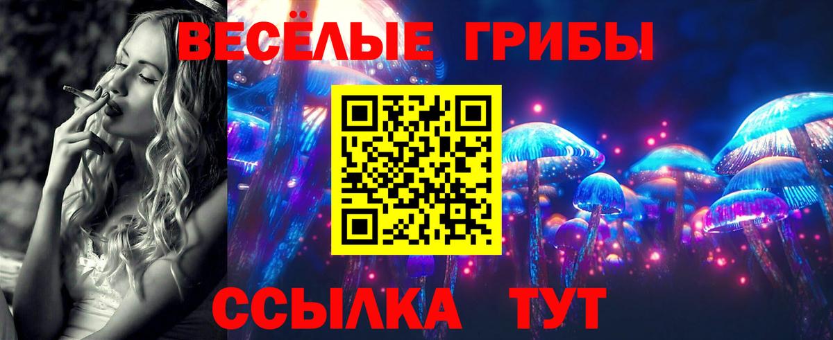 Галлюциногенные грибы Psilocybe  Вход с VPN  Гусь-Хрустальный 